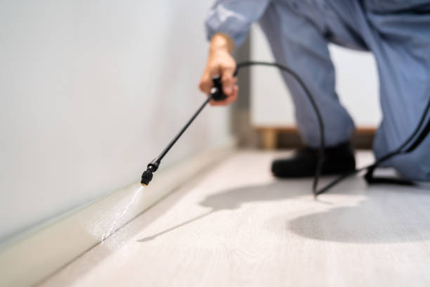 Licensed Pest Control service in Mount Olive, NC - Show Me Pest Control