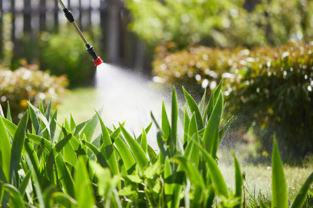 Tamper-Resistant Bait Stations for Rodents in Mount Olive