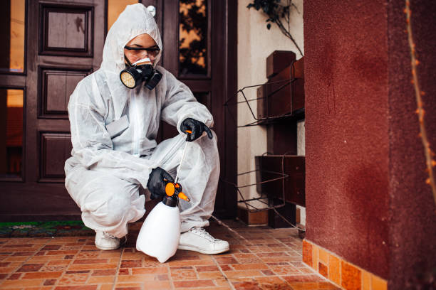 Attic and Crawl Space Rodent Treatment in Mount Olive