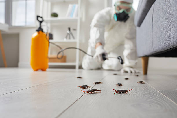 Commercial Rodent Management in Mount Olive